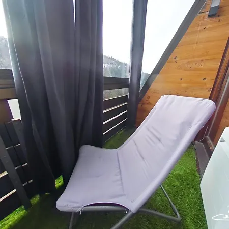 Le 313, Pied De Pistes Hohneck La Bresse