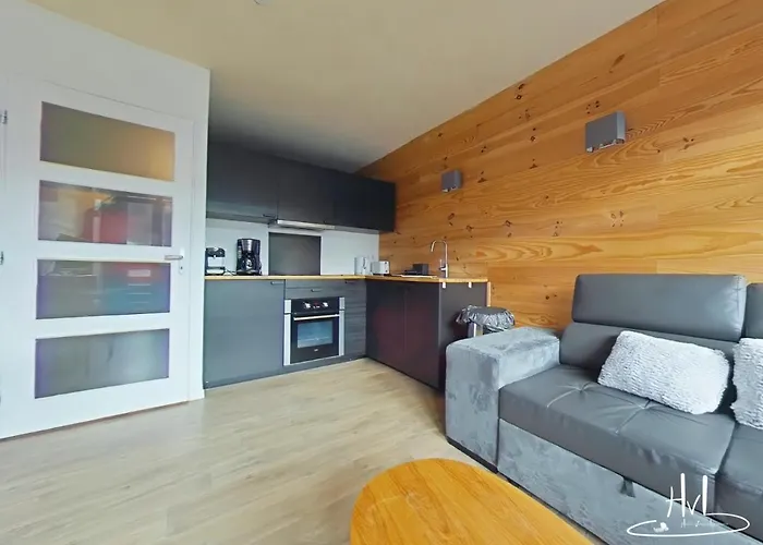 Le 313, Pied De Pistes Hohneck *