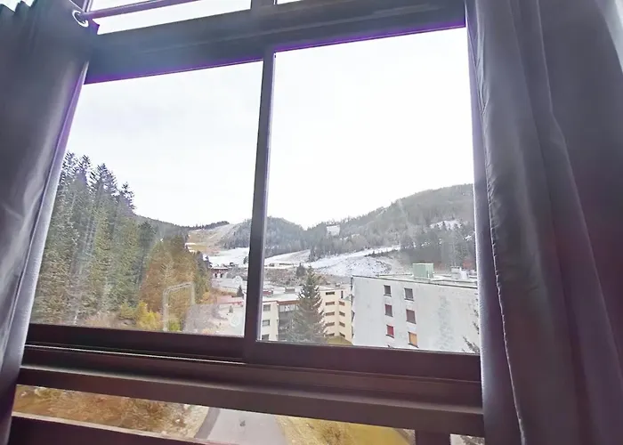 Le 313, Pied De Pistes Hohneck